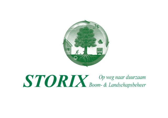 Logo-Storix-1
