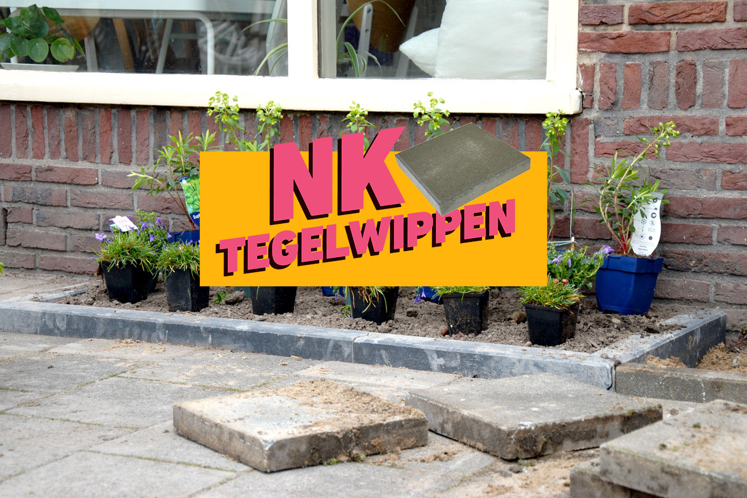 NK-Tegelwippen-
