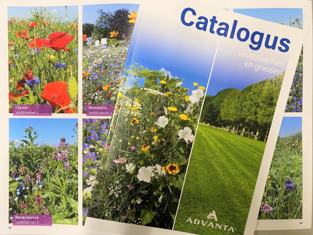 Nieuwe-catalogus-grassen-en-veldbloemen