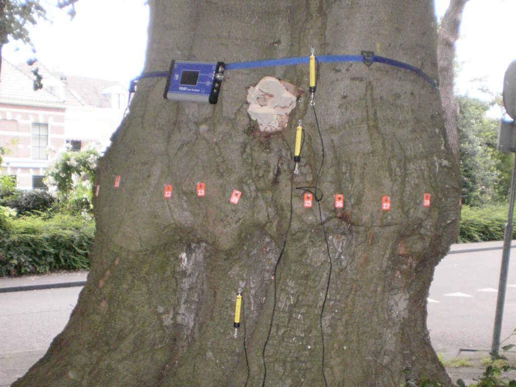 Specialistische kennis voor onderzoek naar breukvastheid en stabiliteit van bomen