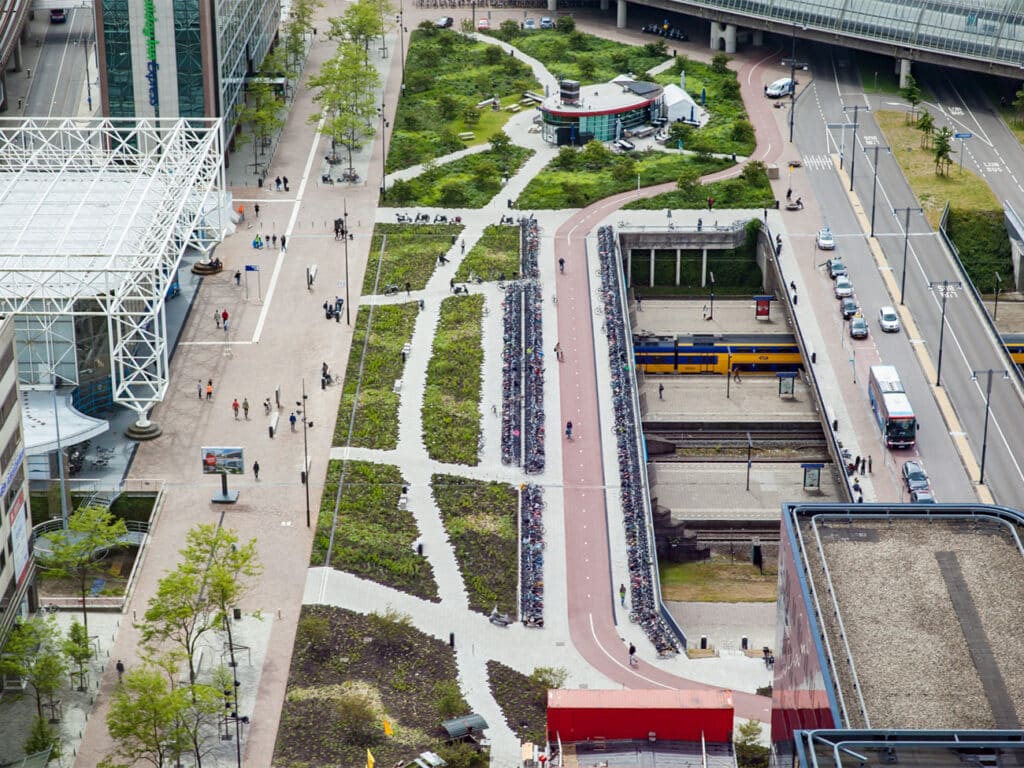 Hoofdontwerper groene openbare ruimte Amsterdam: ‘Je kunt niet zomaar alles wat je  in een tuin mooi vindt ook in de  openbare ruimte neerzetten’