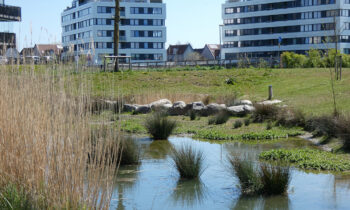 Park-Groot-Zandveld-LR-Utrecht-(13)
